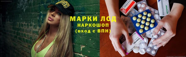 a pvp Алзамай