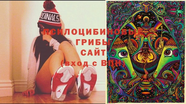 спайс Аркадак