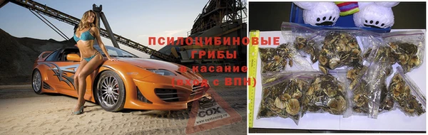прущие крисы Абаза